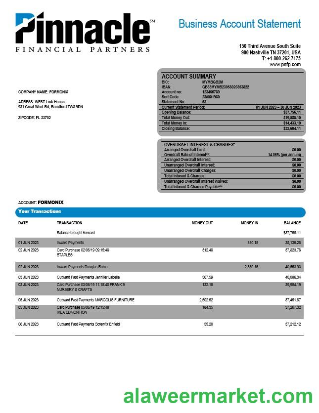 Pinnacle Financial Bank firm account statement Word and PDF template